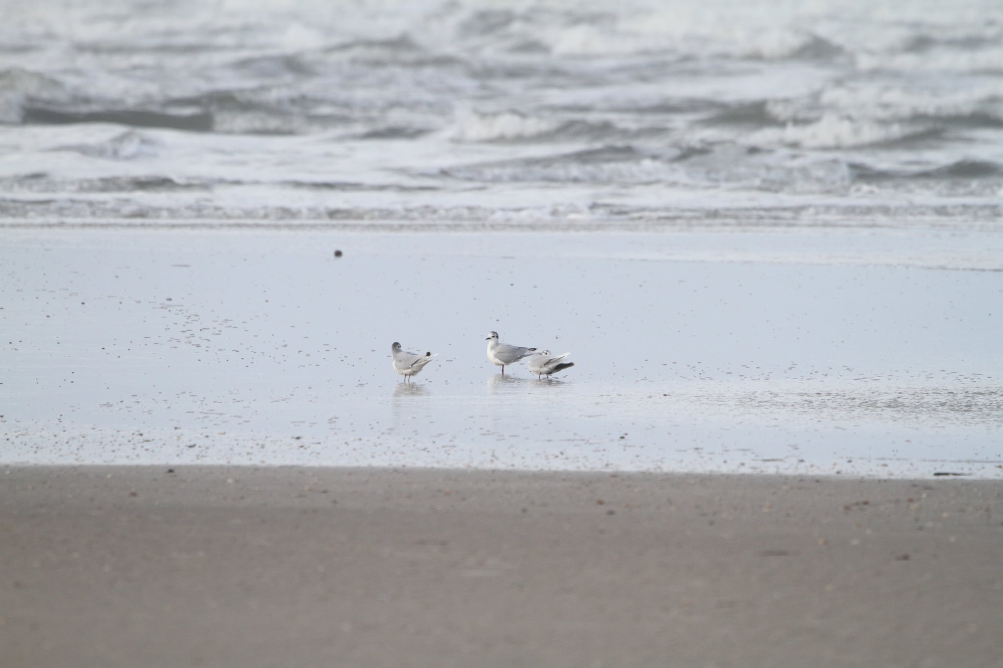 31919067 6198 465a 9315 f4f33684fa9a