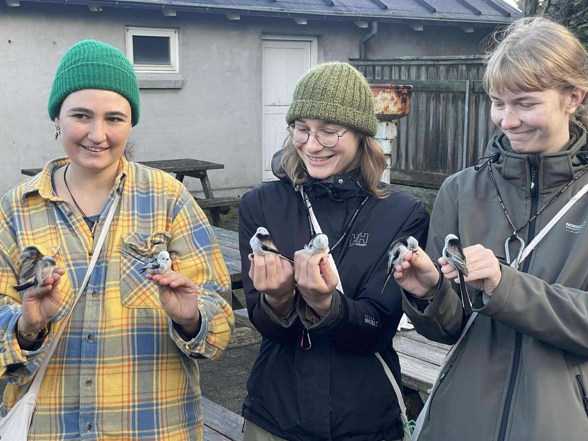 553677270 822642996834914 1341827467717422335 n