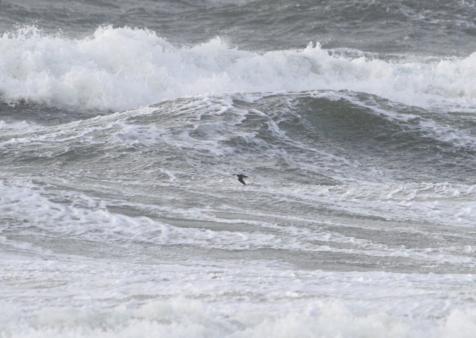 565795183 746371278418132 5156740247036969569 n