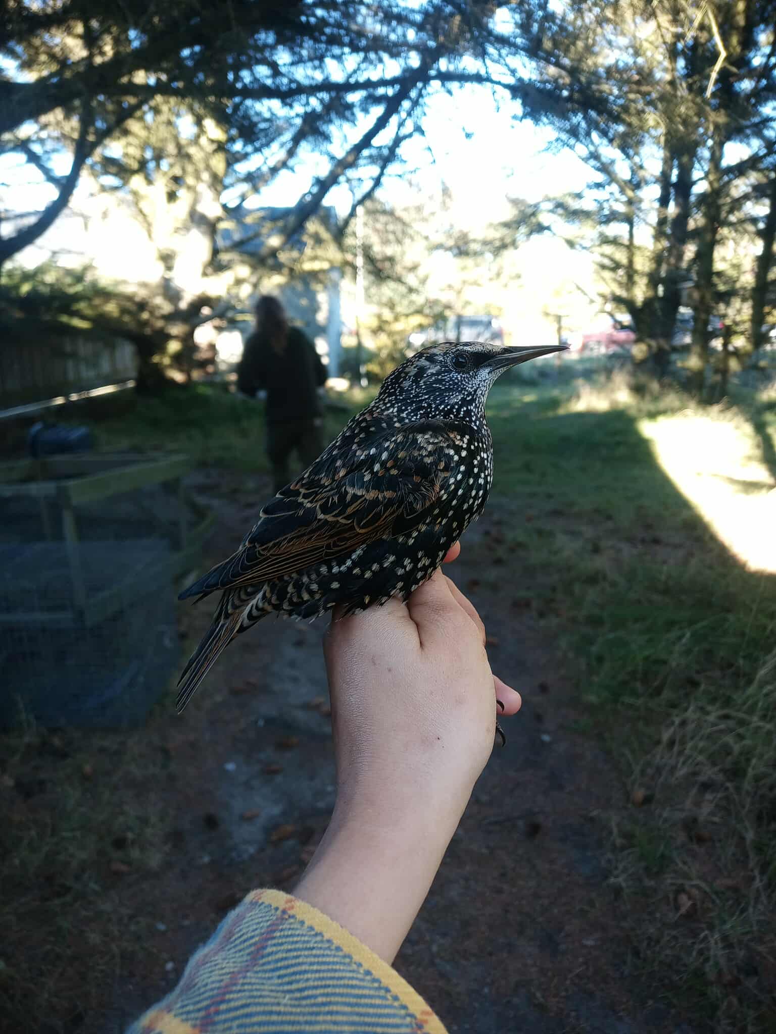 566477814 662136306690628 5809436403025156359 n