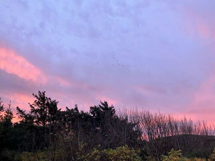 566613041 1209678864542774 8503487238557047097 n