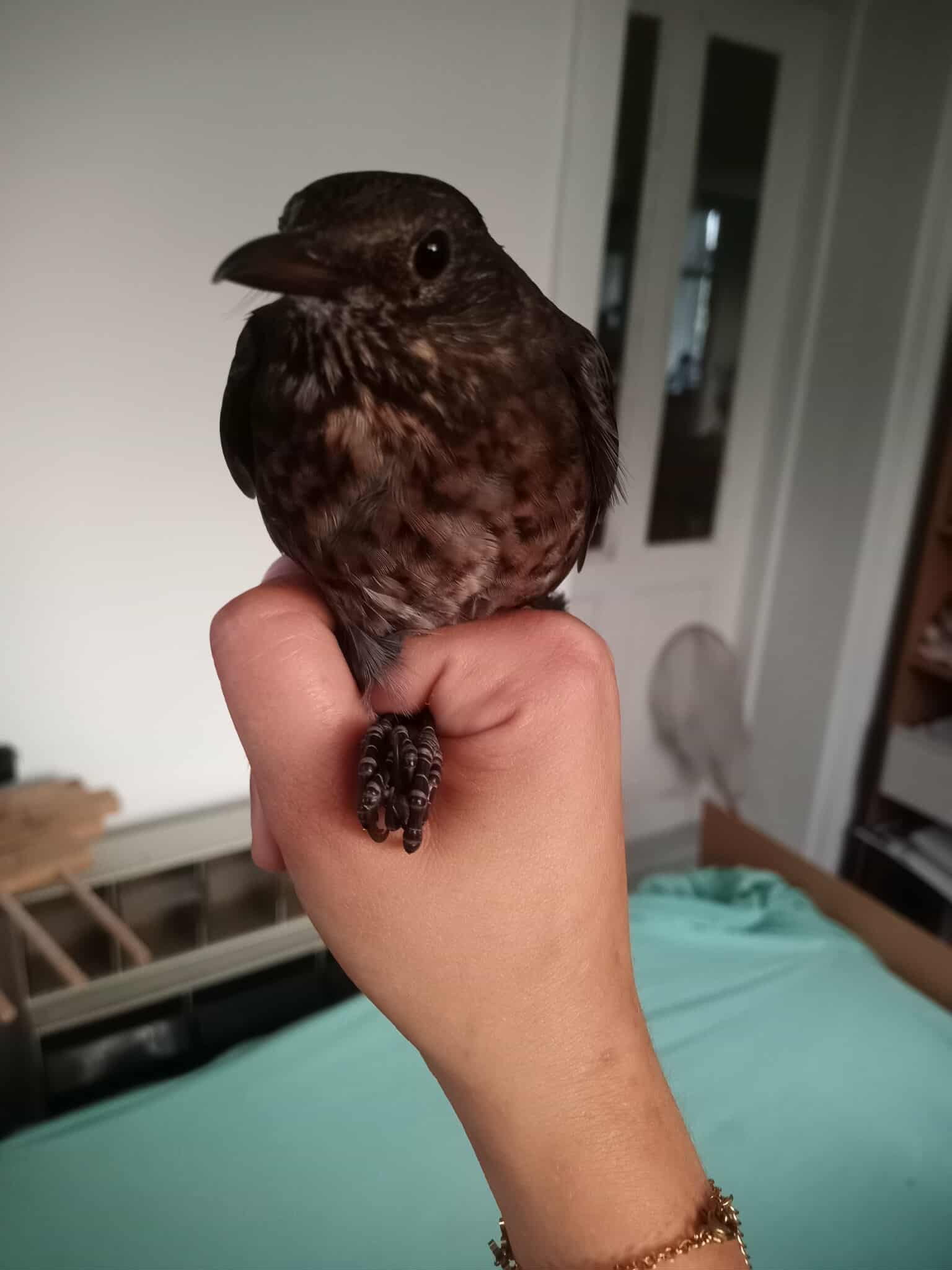 568747676 1476999176746828 8089756513538361234 n