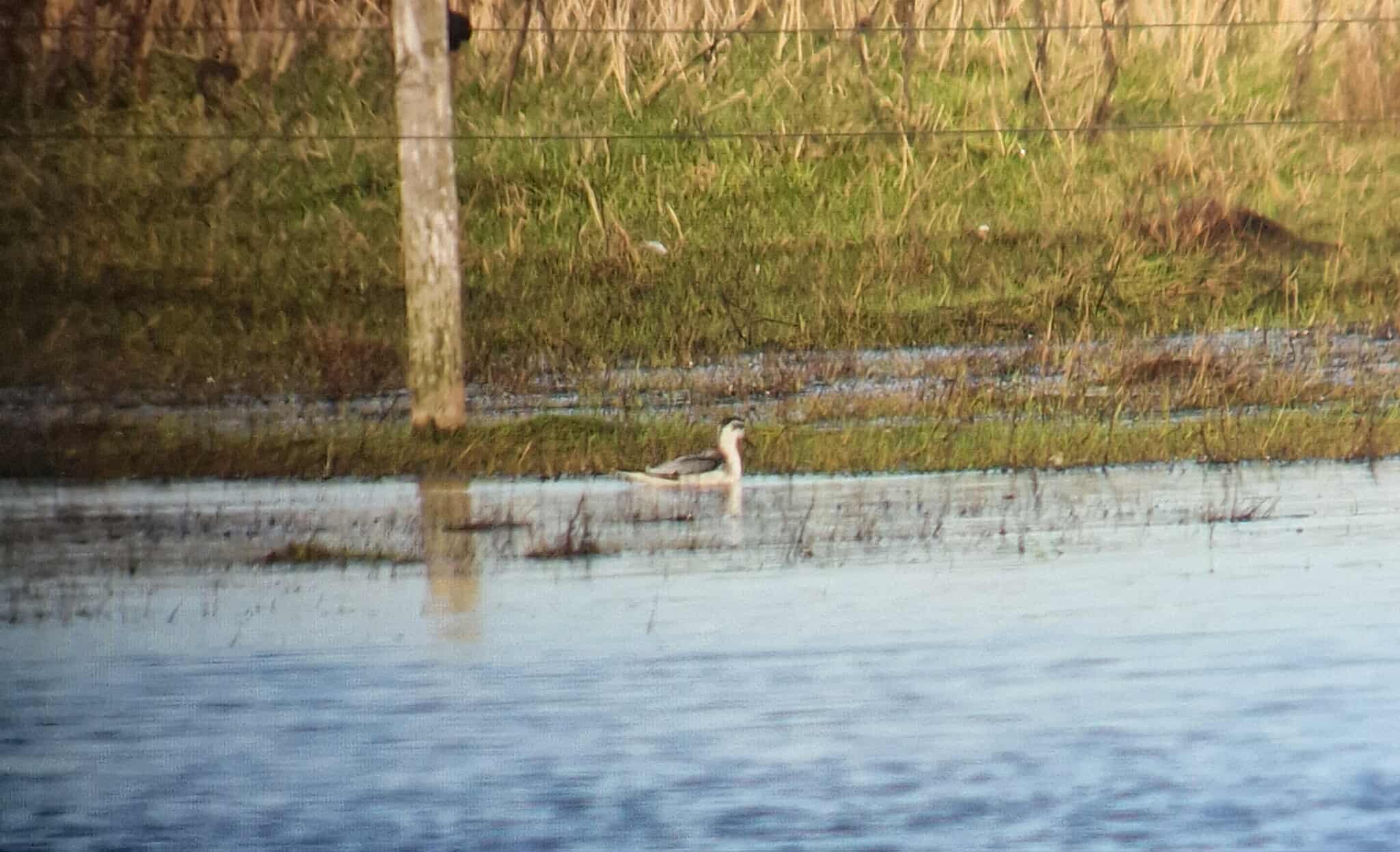 576310270 807251965495598 3308371203326896068 n