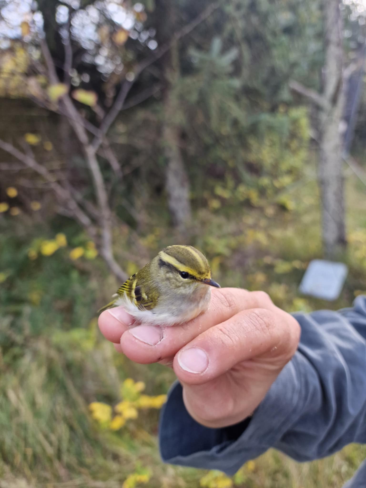 8bf0e8f9 d22a 4dbc b97f 7d7c7ae6ee39