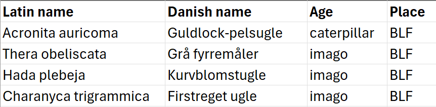 MOths_21-05-25.png