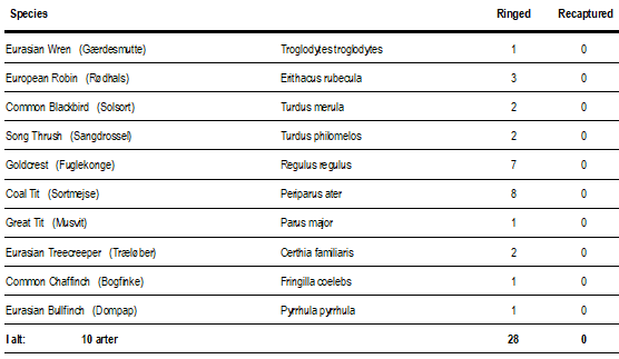 Skærmbillede 2025 10 17 215325