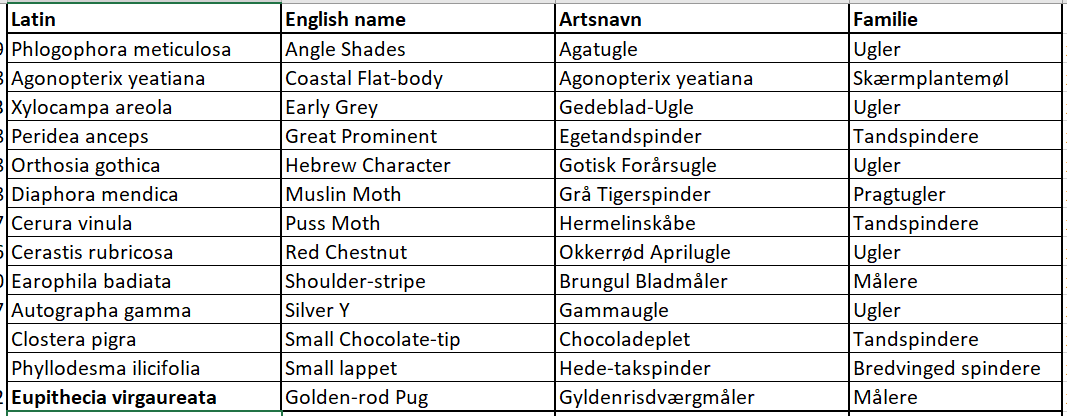 mothtable 07052026