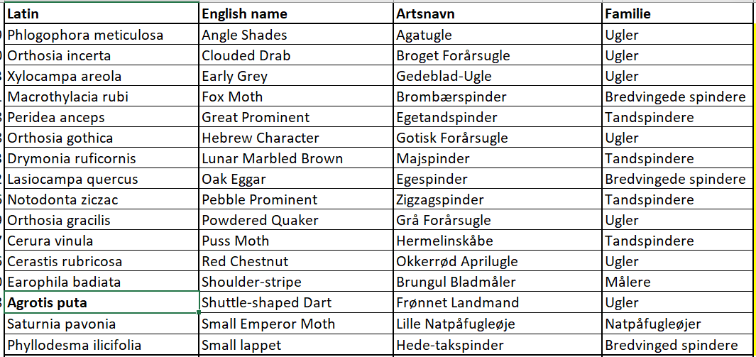 mothtable 08052026